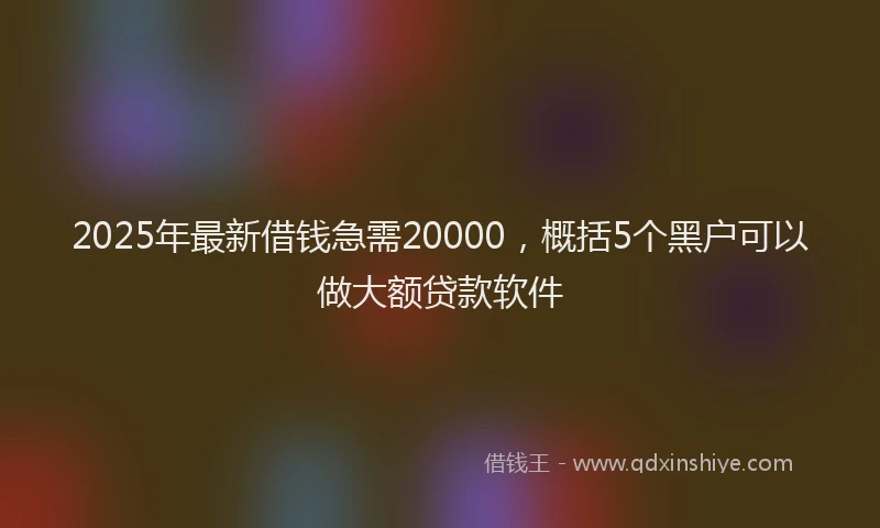 2025年最新借钱急需20000，概括5个黑户可以做大额贷款软件