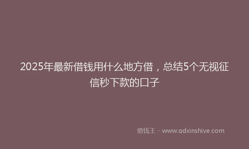 2025年最新借钱用什么地方借，总结5个无视征信秒下款的口子