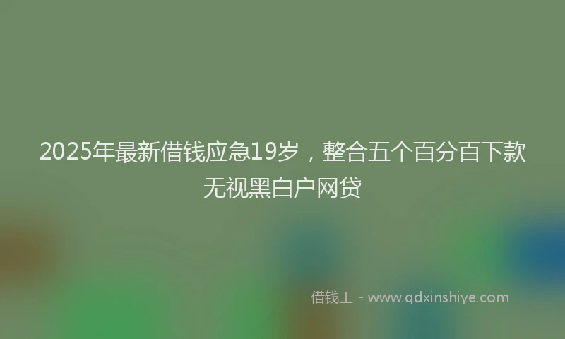 2025年最新借钱应急19岁，整合五个百分百下款无视黑白户网贷