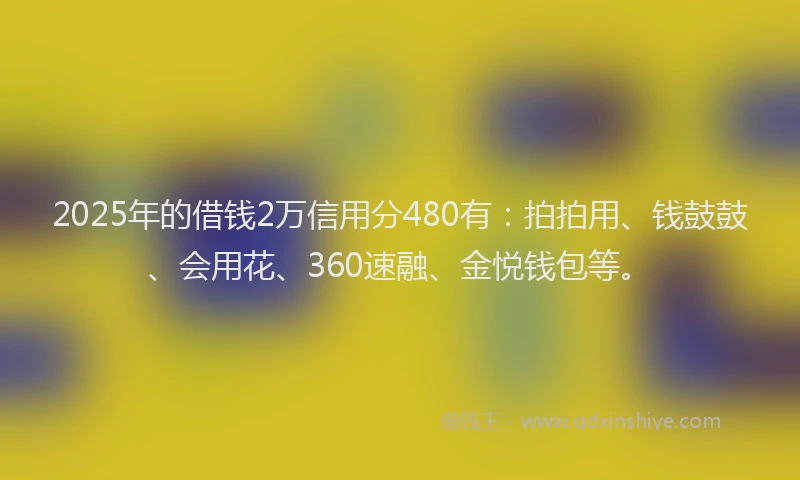 2025年的借钱2万信用分480有：拍拍用、钱鼓鼓、会用花、360速融、金悦钱包等。