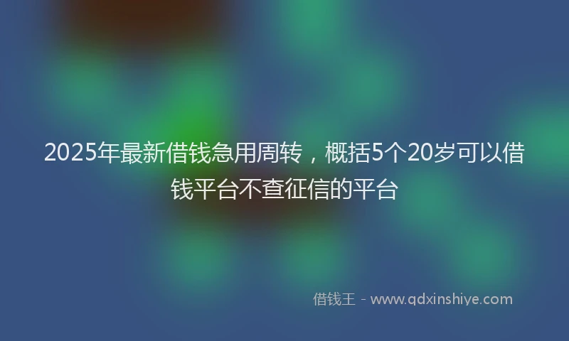2025年最新借钱急用周转，概括5个20岁可以借钱平台不查征信的平台