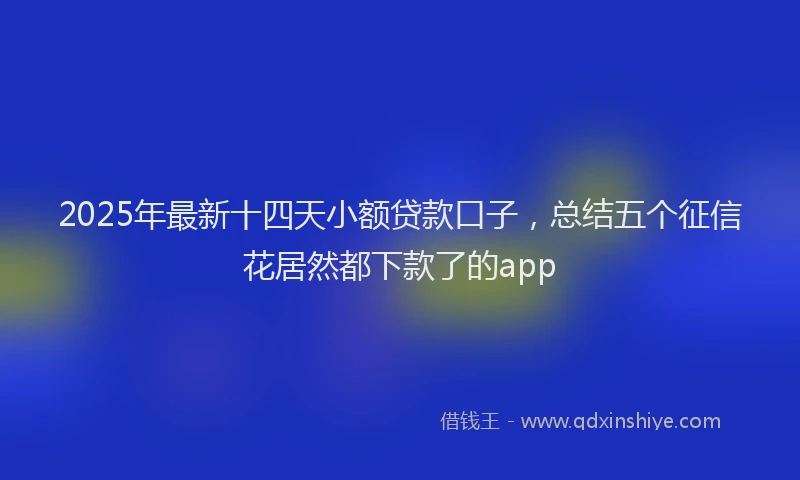2025年最新十四天小额贷款口子，总结五个征信花居然都下款了的app