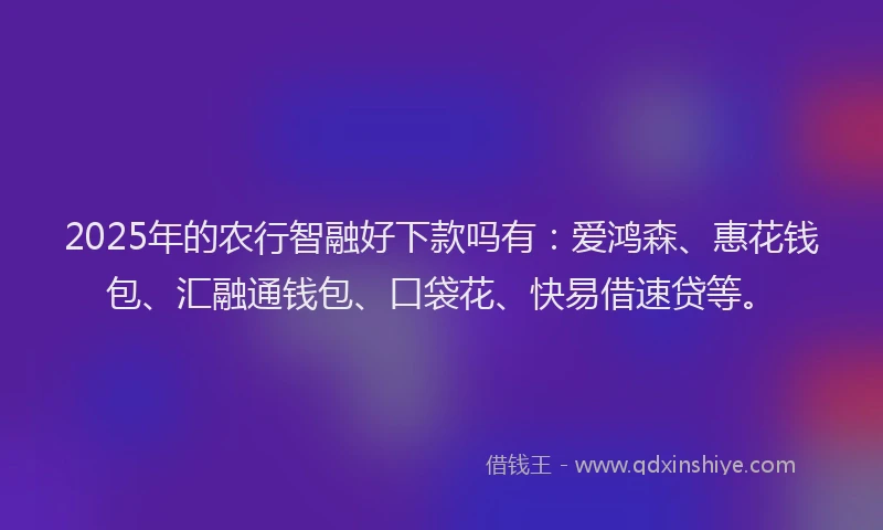 2025年的农行智融好下款吗有：爱鸿森、惠花钱包、汇融通钱包、口袋花、快易借速贷等。