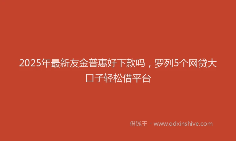 2025年最新友金普惠好下款吗，罗列5个网贷大口子轻松借平台