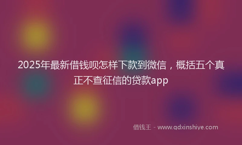 2025年最新借钱呗怎样下款到微信，概括五个真正不查征信的贷款app