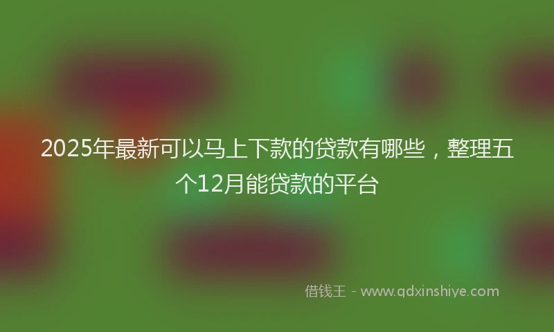 2025年最新可以马上下款的贷款有哪些，整理五个12月能贷款的平台