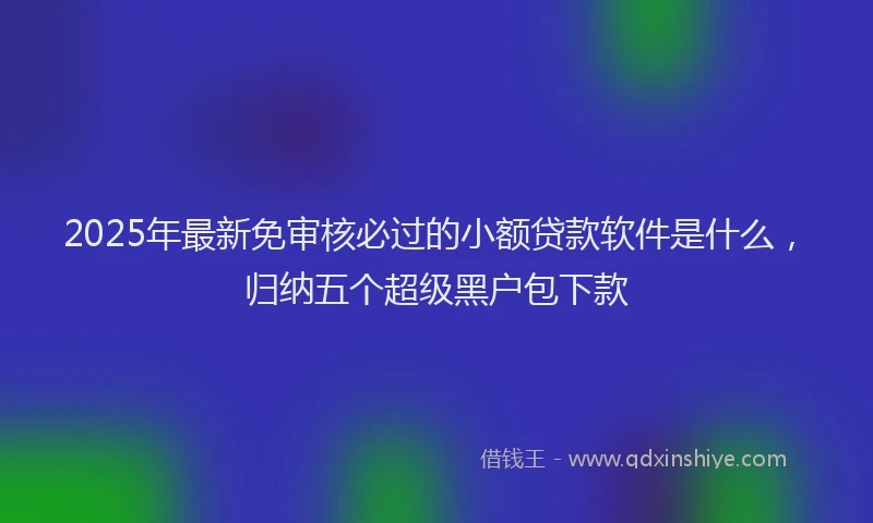 2025年最新免审核必过的小额贷款软件是什么，归纳五个超级黑户包下款