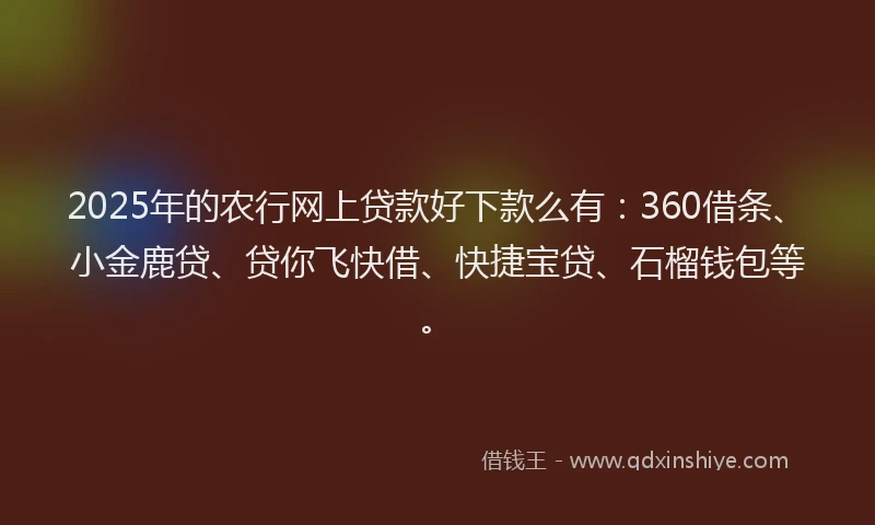 2025年的农行网上贷款好下款么有：360借条、小金鹿贷、贷你飞快借、快捷宝贷、石榴钱包等。