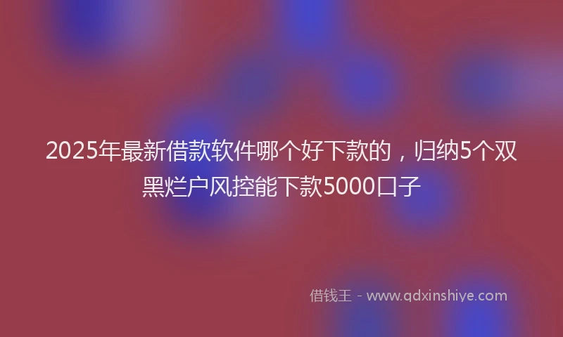 2025年最新借款软件哪个好下款的，归纳5个双黑烂户风控能下款5000口子