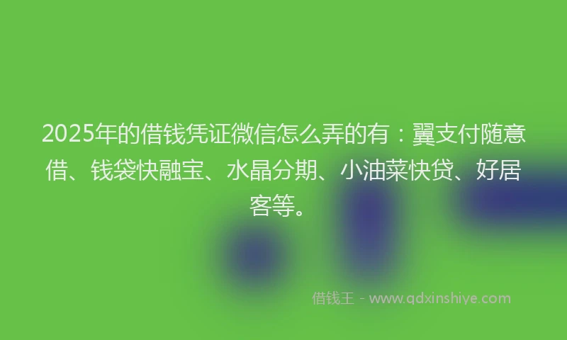 2025年的借钱凭证微信怎么弄的有：翼支付随意借、钱袋快融宝、水晶分期、小油菜快贷、好居客等。