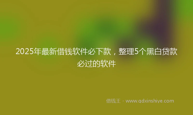 2025年最新借钱软件必下款，整理5个黑白贷款必过的软件