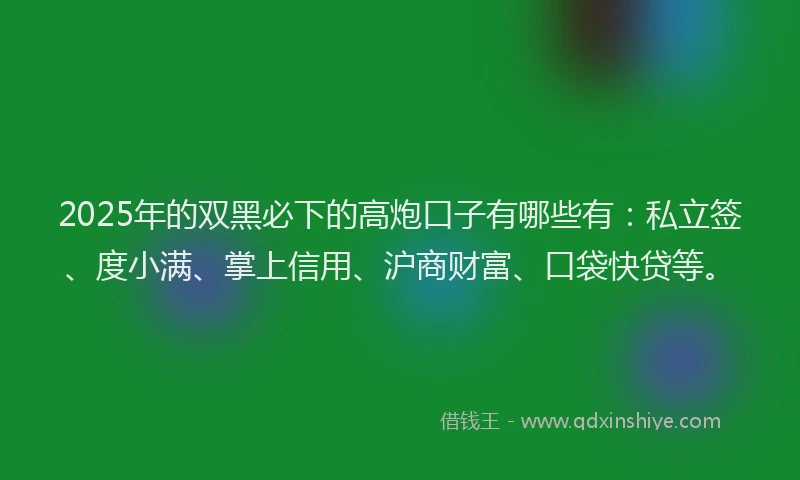 2025年的双黑必下的高炮口子有哪些有：私立签、度小满、掌上信用、沪商财富、口袋快贷等。