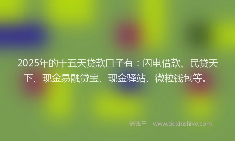 2025年的十五天贷款口子有：闪电借款、民贷天下、现金易融贷宝、现金驿站、微粒钱包等。