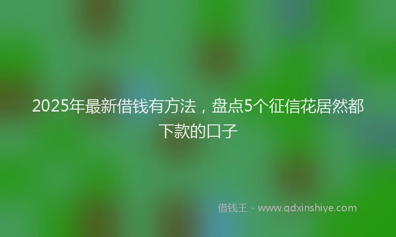 2025年最新借钱有方法，盘点5个征信花居然都下款的口子