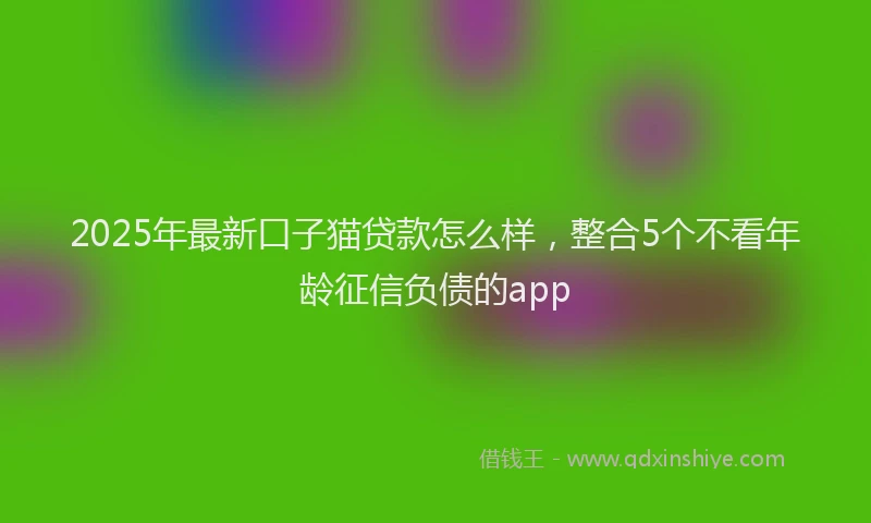 2025年最新口子猫贷款怎么样，整合5个不看年龄征信负债的app