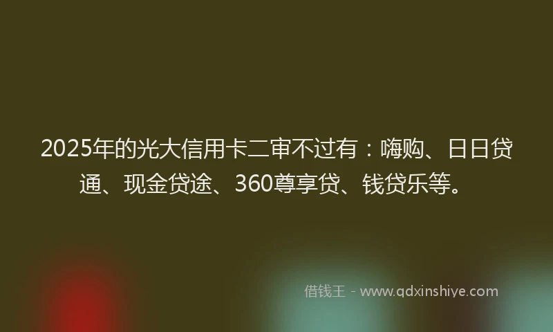 2025年的光大信用卡二审不过有：嗨购、日日贷通、现金贷途、360尊享贷、钱贷乐等。