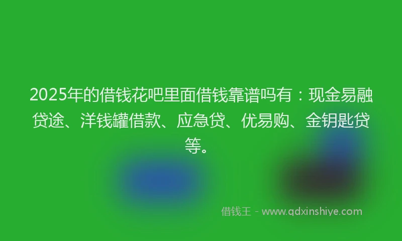 2025年的借钱花吧里面借钱靠谱吗有：现金易融贷途、洋钱罐借款、应急贷、优易购、金钥匙贷等。