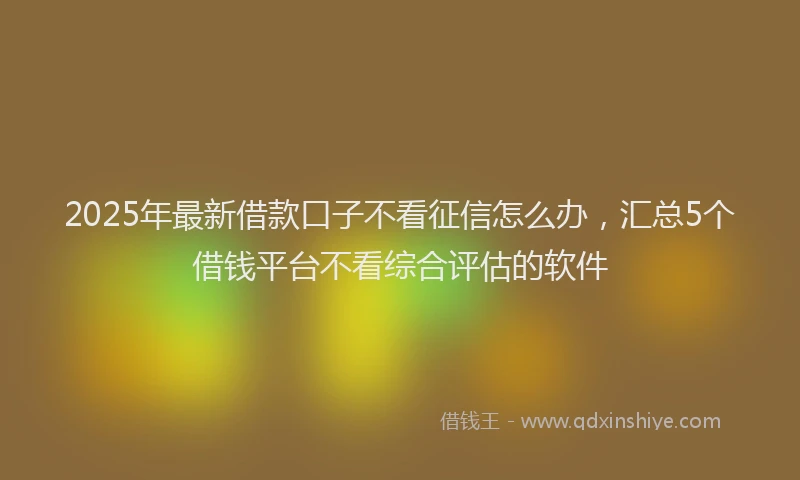 2025年最新借款口子不看征信怎么办，汇总5个借钱平台不看综合评估的软件