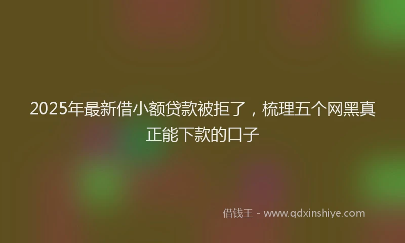 2025年最新借小额贷款被拒了，梳理五个网黑真正能下款的口子