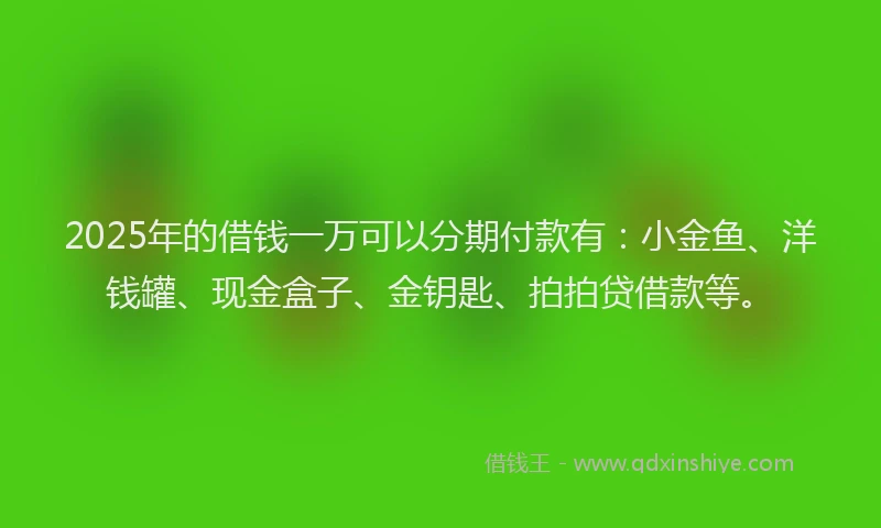 2025年的借钱一万可以分期付款有：小金鱼、洋钱罐、现金盒子、金钥匙、拍拍贷借款等。