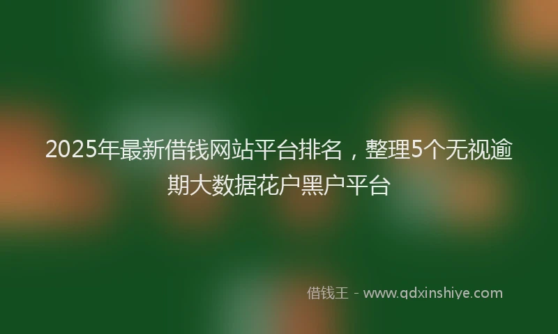 2025年最新借钱网站平台排名，整理5个无视逾期大数据花户黑户平台