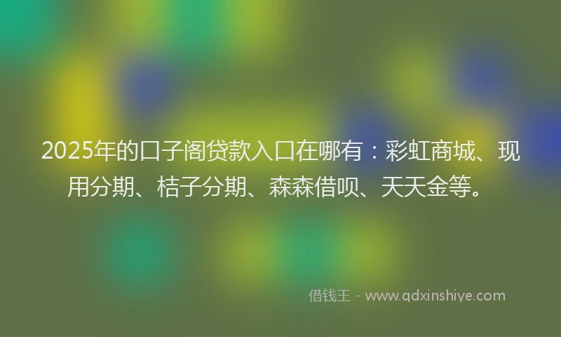 2025年的口子阁贷款入口在哪有：彩虹商城、现用分期、桔子分期、森森借呗、天天金等。