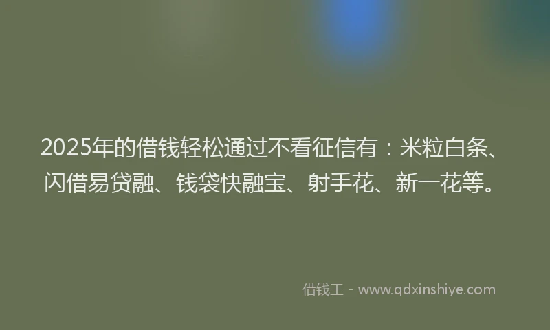 2025年的借钱轻松通过不看征信有：米粒白条、闪借易贷融、钱袋快融宝、射手花、新一花等。