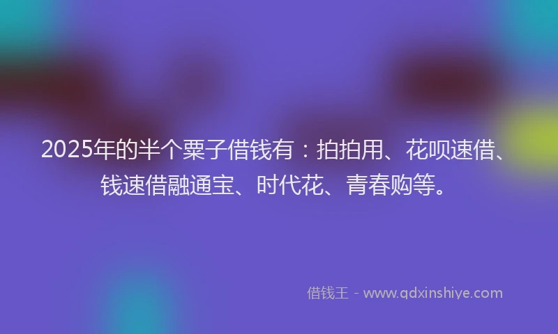 2025年的半个粟子借钱有：拍拍用、花呗速借、钱速借融通宝、时代花、青春购等。