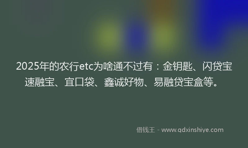 2025年的农行etc为啥通不过有：金钥匙、闪贷宝速融宝、宜口袋、鑫诚好物、易融贷宝盒等。