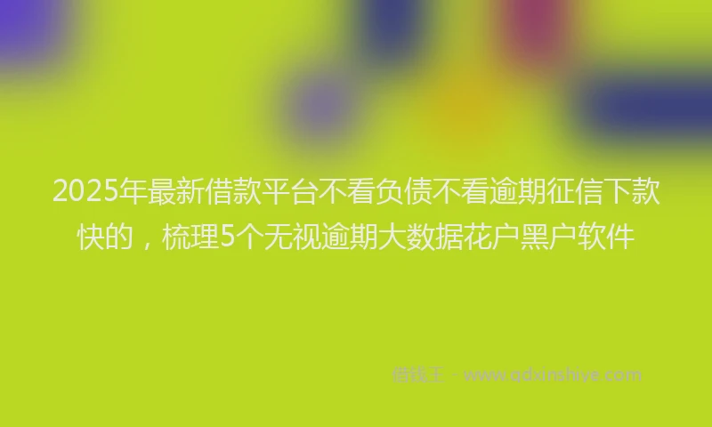 2025年最新借款平台不看负债不看逾期征信下款快的，梳理5个无视逾期大数据花户黑户软件