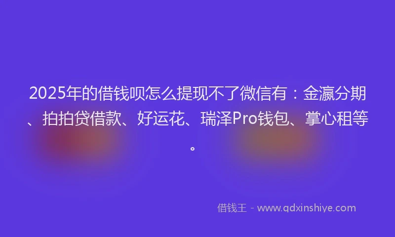 2025年的借钱呗怎么提现不了微信有：金瀛分期、拍拍贷借款、好运花、瑞泽Pro钱包、掌心租等。