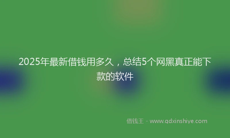2025年最新借钱用多久，总结5个网黑真正能下款的软件