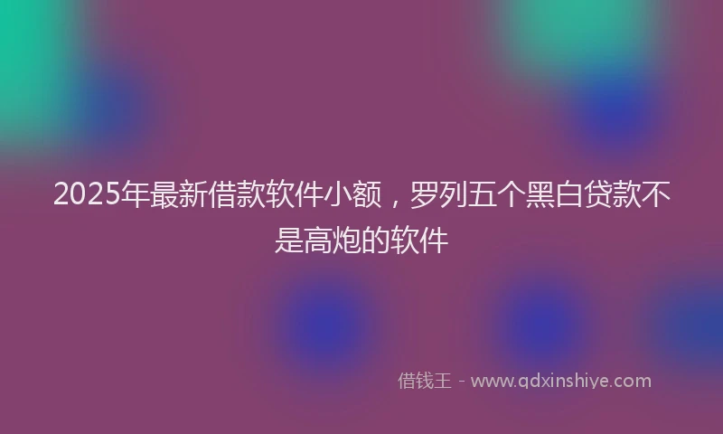 2025年最新借款软件小额，罗列五个黑白贷款不是高炮的软件