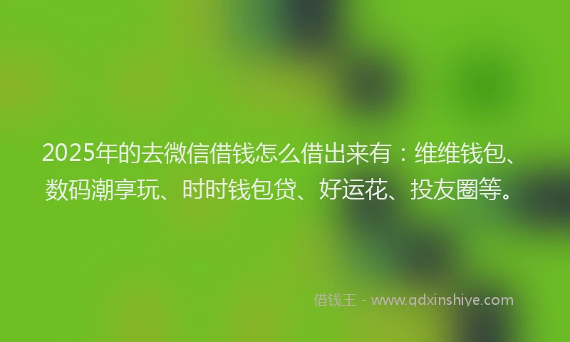 2025年的去微信借钱怎么借出来有：维维钱包、数码潮享玩、时时钱包贷、好运花、投友圈等。