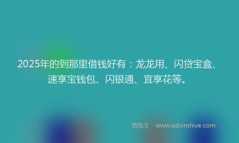 2025年的到那里借钱好有：龙龙用、闪贷宝盒、速享宝钱包、闪银通、宜享花等。