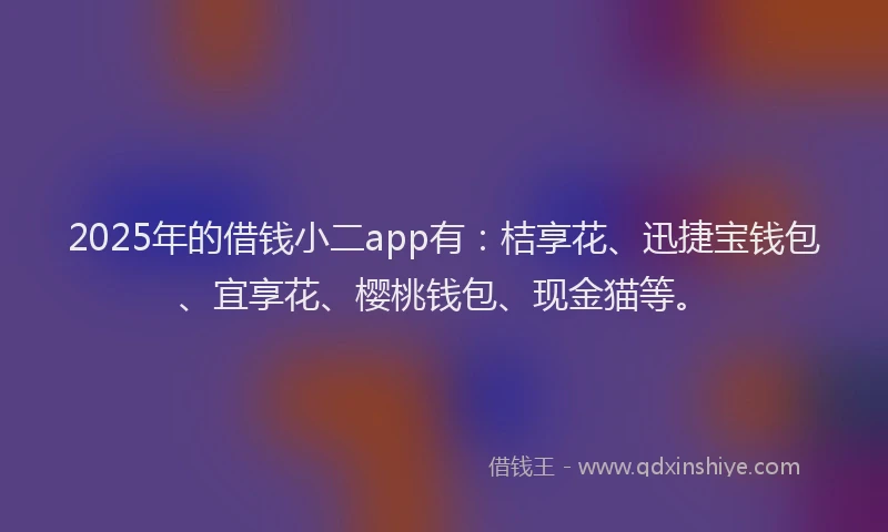 2025年的借钱小二app有：桔享花、迅捷宝钱包、宜享花、樱桃钱包、现金猫等。