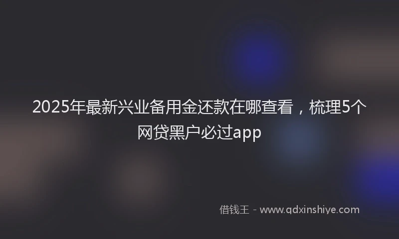 2025年最新兴业备用金还款在哪查看，梳理5个网贷黑户必过app