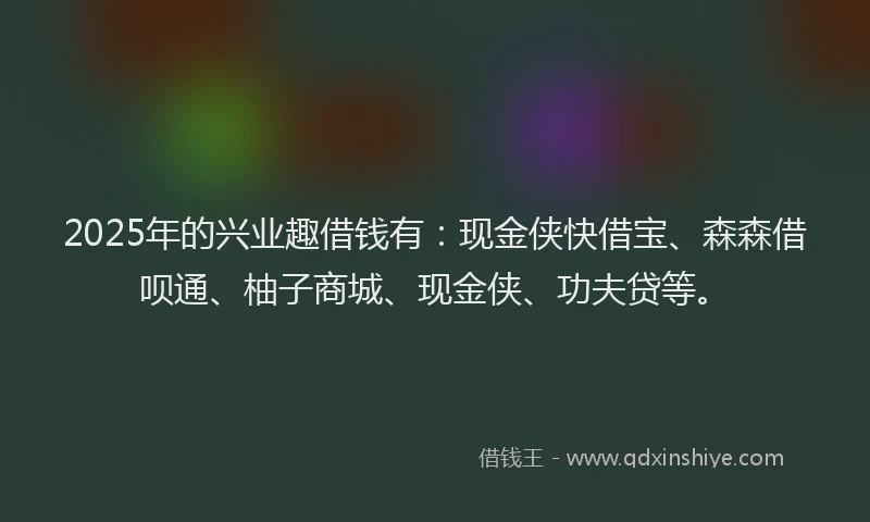 2025年的兴业趣借钱有：现金侠快借宝、森森借呗通、柚子商城、现金侠、功夫贷等。