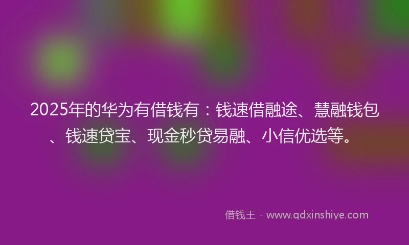 2025年的华为有借钱有：钱速借融途、慧融钱包、钱速贷宝、现金秒贷易融、小信优选等。