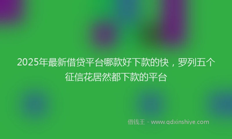2025年最新借贷平台哪款好下款的快，罗列五个征信花居然都下款的平台