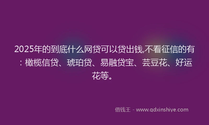 2025年的到底什么网贷可以贷出钱,不看征信的有：橄榄信贷、琥珀贷、易融贷宝、芸豆花、好运花等。