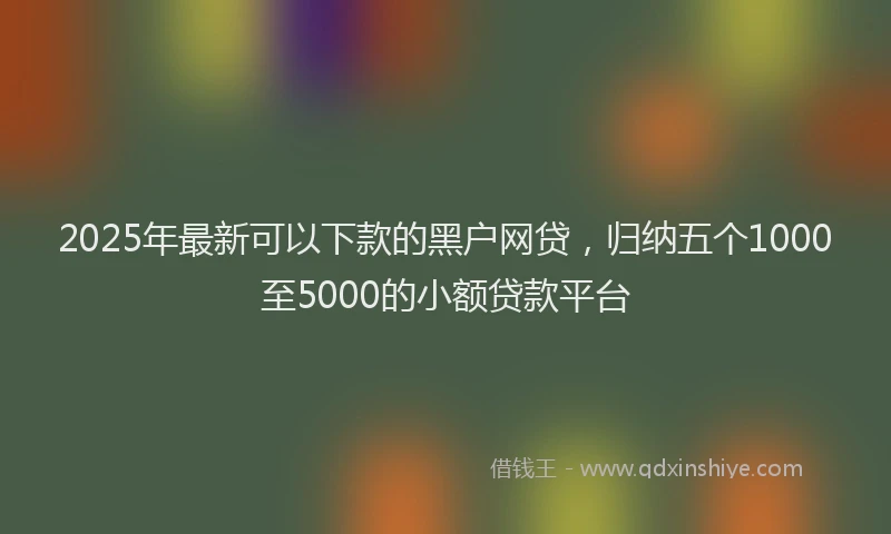 2025年最新可以下款的黑户网贷，归纳五个1000至5000的小额贷款平台