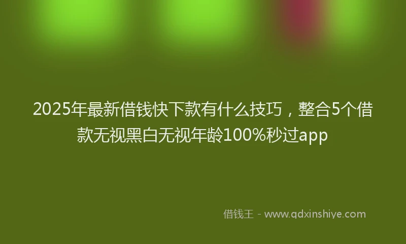 2025年最新借钱快下款有什么技巧，整合5个借款无视黑白无视年龄100%秒过app