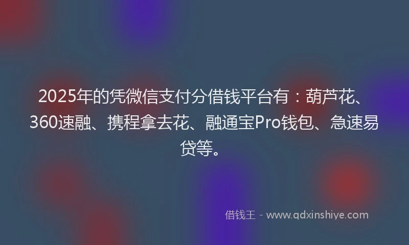 2025年的凭微信支付分借钱平台有：葫芦花、360速融、携程拿去花、融通宝Pro钱包、急速易贷等。