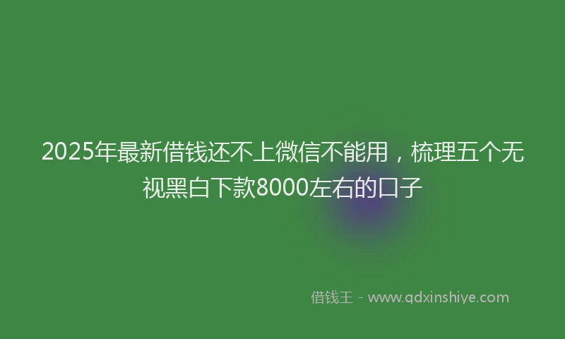 2025年最新借钱还不上微信不能用，梳理五个无视黑白下款8000左右的口子