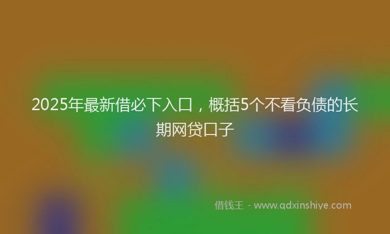 2025年最新借必下入口，概括5个不看负债的长期网贷口子