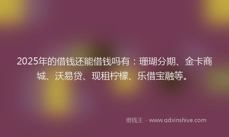 2025年的借钱还能借钱吗有：珊瑚分期、金卡商城、沃易贷、现租柠檬、乐借宝融等。