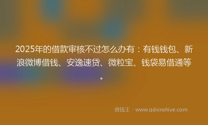 2025年的借款审核不过怎么办有：有钱钱包、新浪微博借钱、安逸速贷、微粒宝、钱袋易借通等。