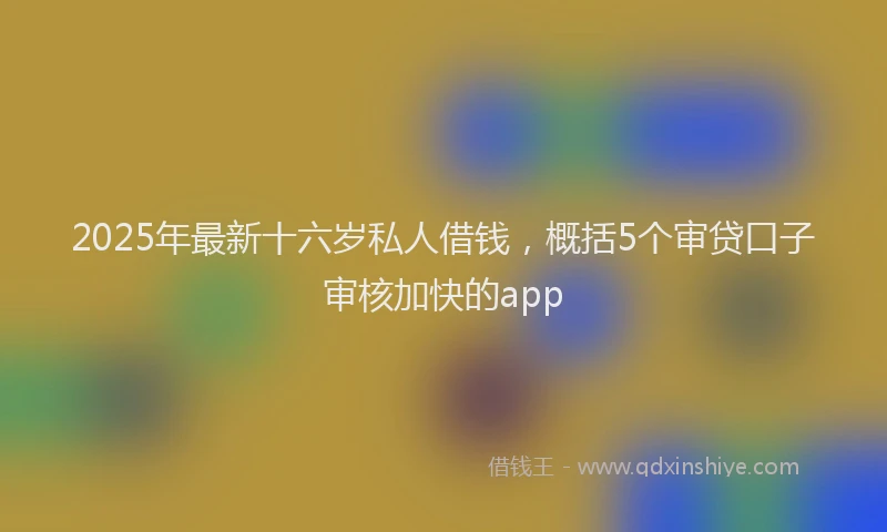 2025年最新十六岁私人借钱，概括5个审贷口子审核加快的app