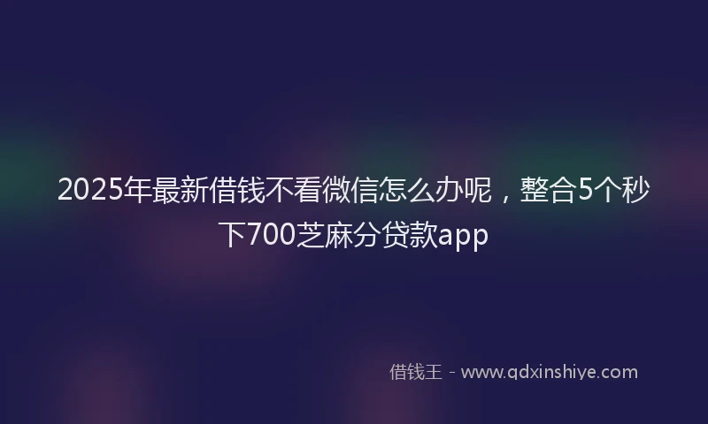 2025年最新借钱不看微信怎么办呢，整合5个秒下700芝麻分贷款app
